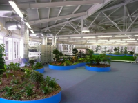 /album/repino2/picture-42-png/